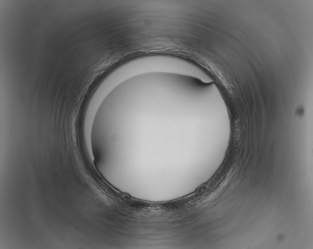 X0000116850589201001191642