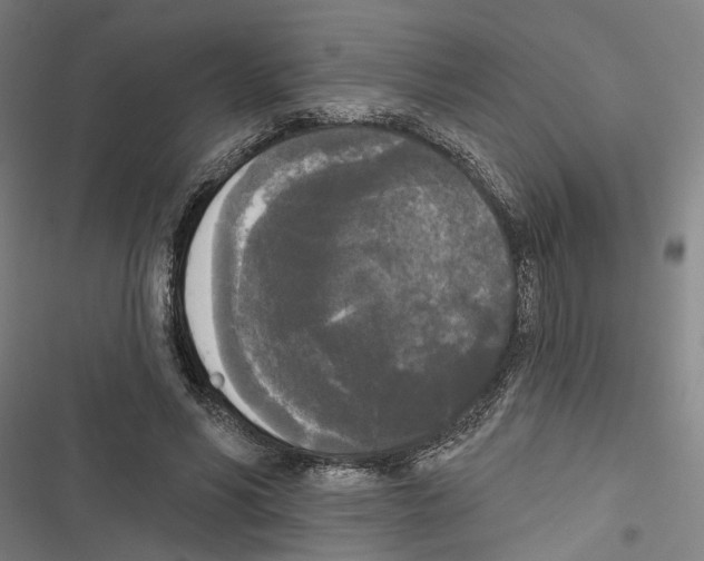 X0000116850590201001191642