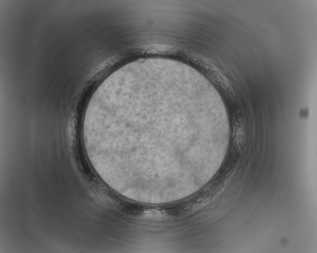 X0000116850591201001191642