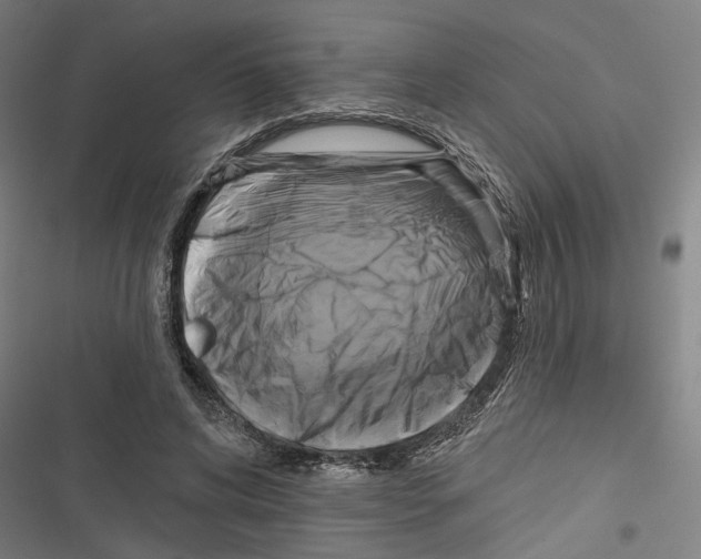 X0000116850592201001191642