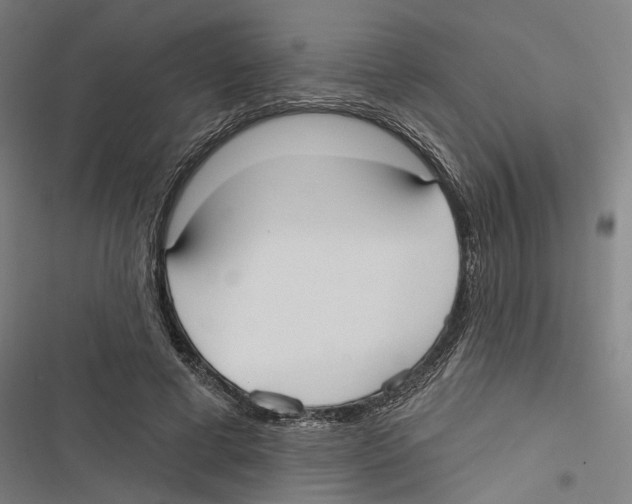 X0000116850593201001191642