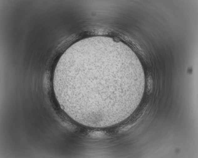 X0000116850594201001191642