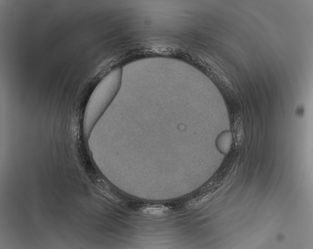 X0000116850595201001191642