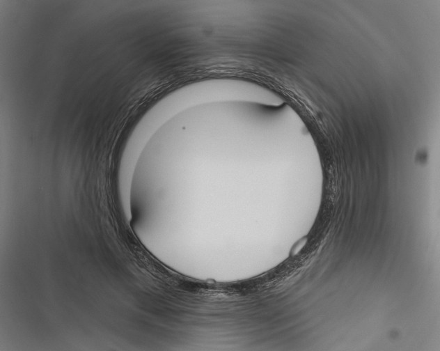 X0000116850597201001191642