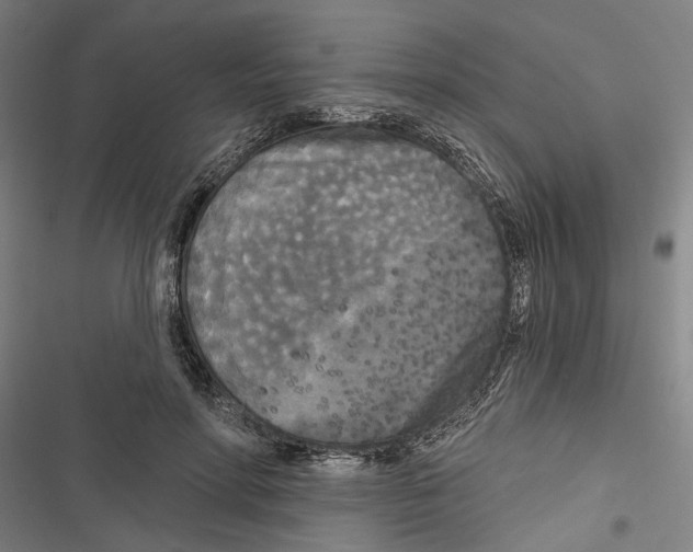 X0000116850598201001191642
