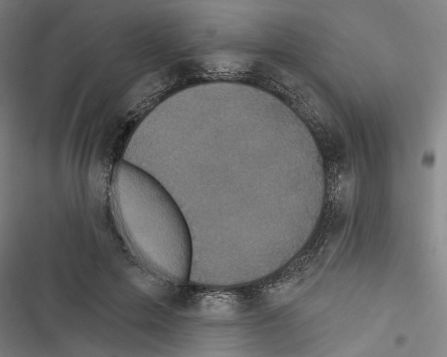 X0000116850599201001191642