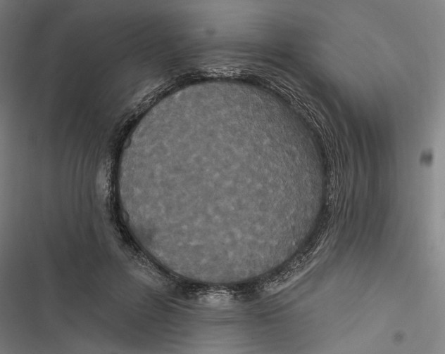 X0000116850600201001191642