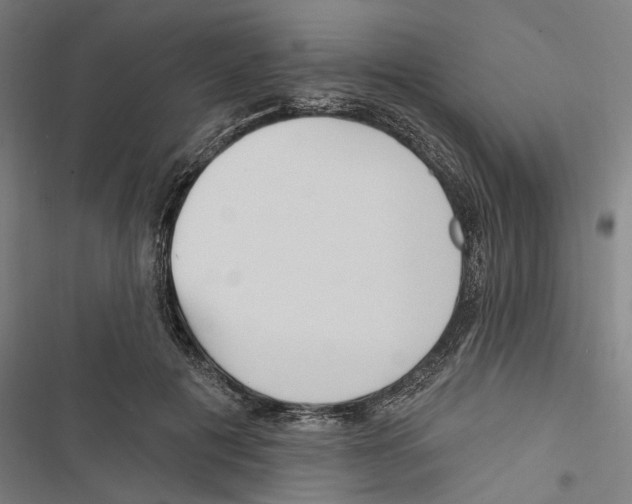 X0000116850601201001191642