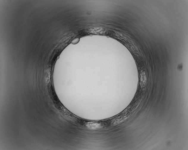 X0000116850602201001191642