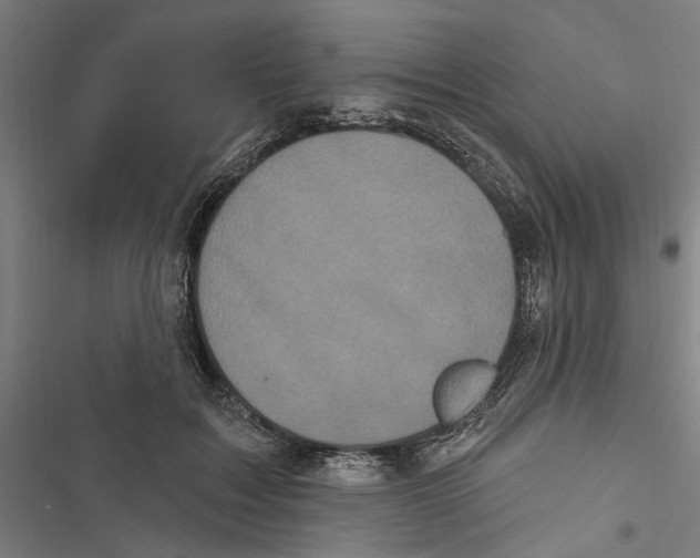 X0000116850603201001191642