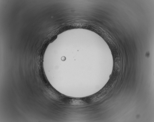 X0000116850605201001191642