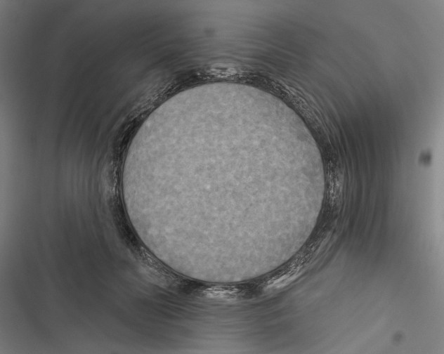 X0000116850606201001191642