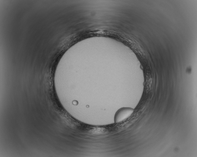 X0000116850609201001191642