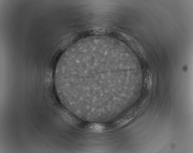 X0000116850610201001191642