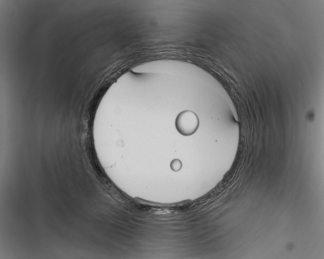 X0000116850611201001191642