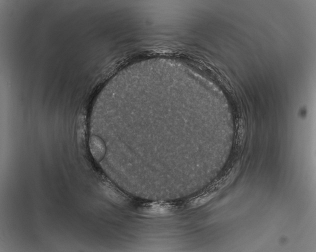 X0000116850612201001191642