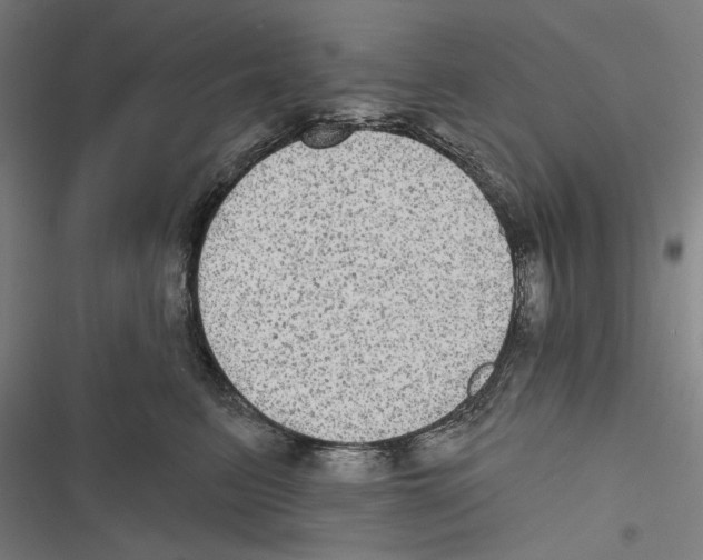 X0000116850615201001191642