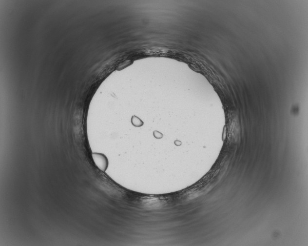 X0000116850616201001191642