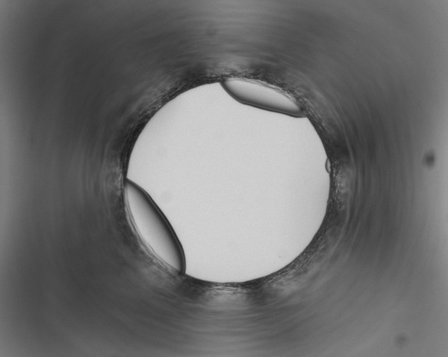 X0000116850617201001191642