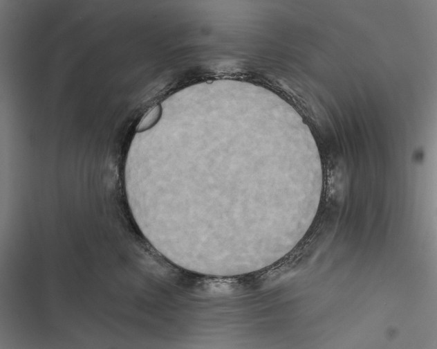 X0000116850618201001191642