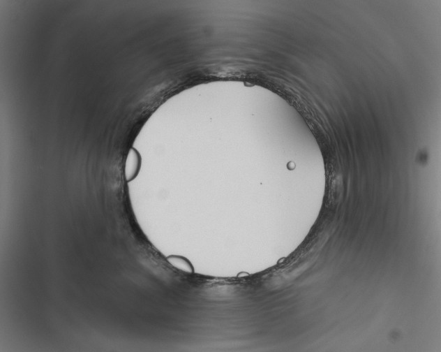 X0000116850620201001191642