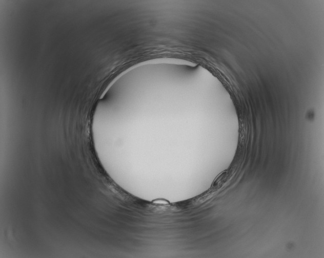 X0000116850621201001191642