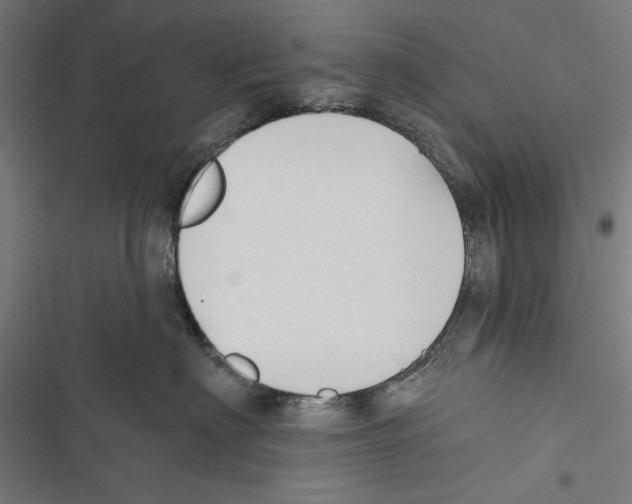 X0000116850622201001191642
