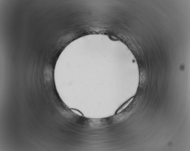 X0000116850623201001191642