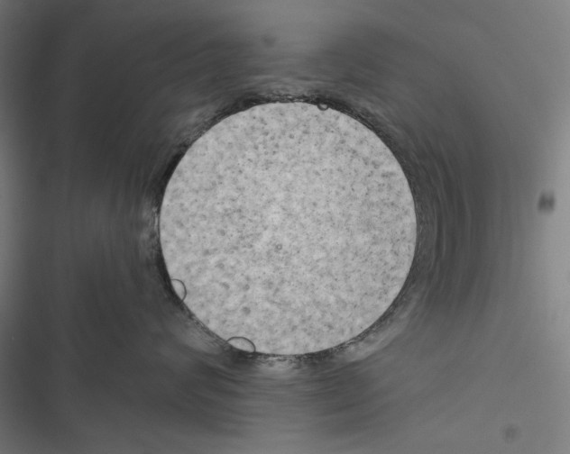 X0000116850624201001191642