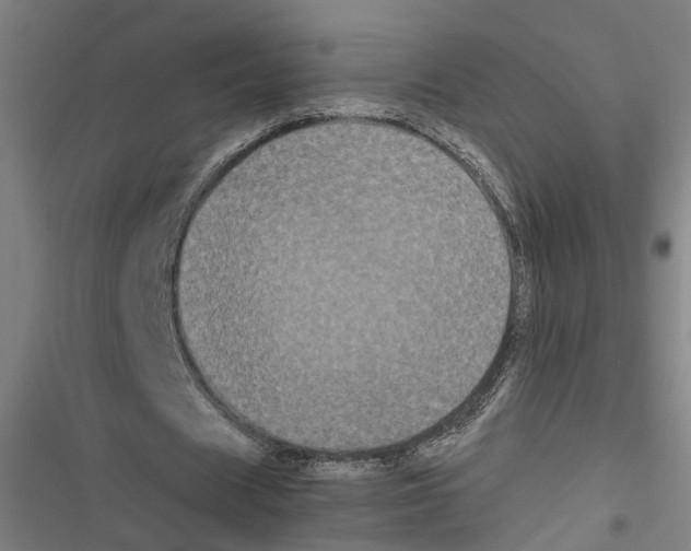 X0000116850625201001191641