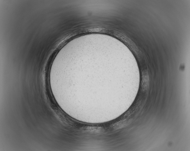X0000116850626201001191641
