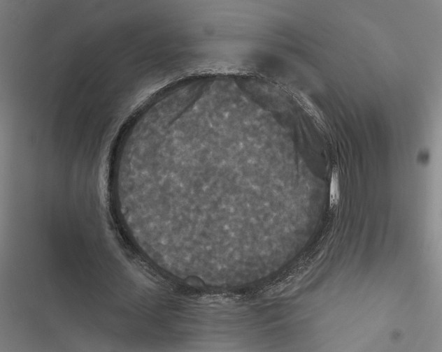 X0000116850627201001191641
