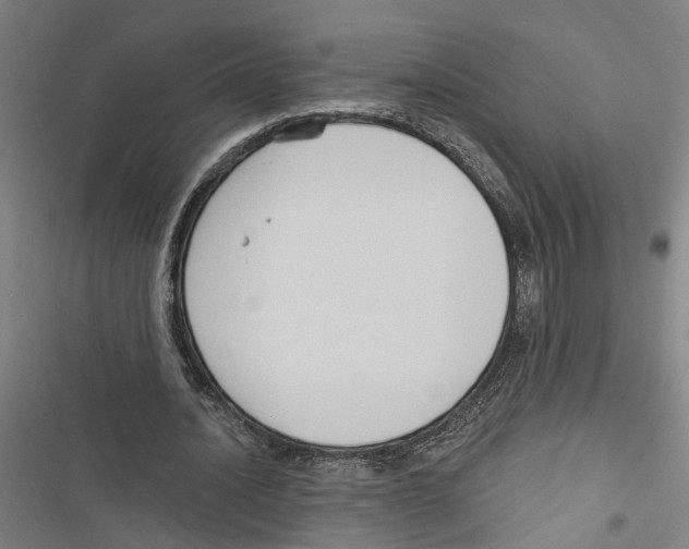 X0000116850628201001191641