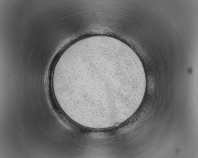 X0000116850630201001191641