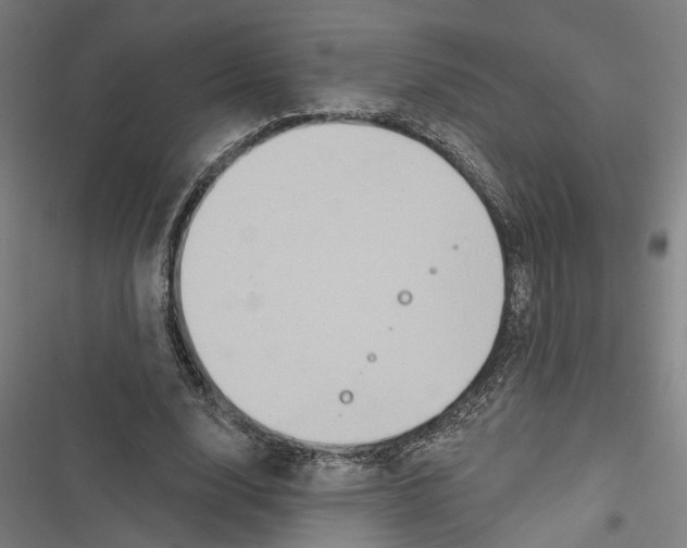 X0000116850632201001191641