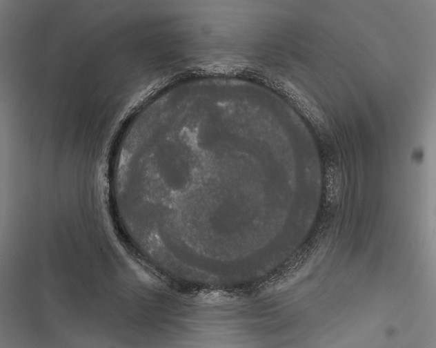 X0000116850634201001191641