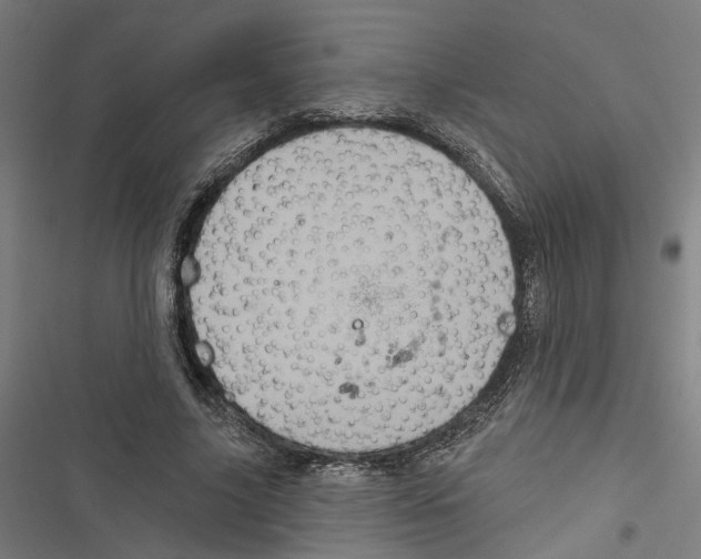 X0000116850635201001191641