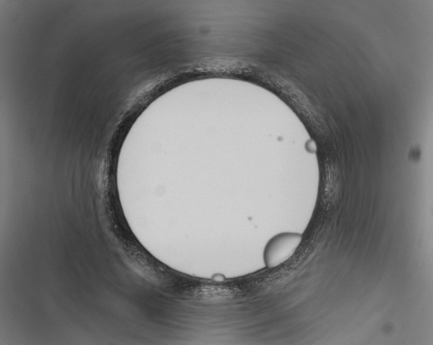 X0000116850636201001191641