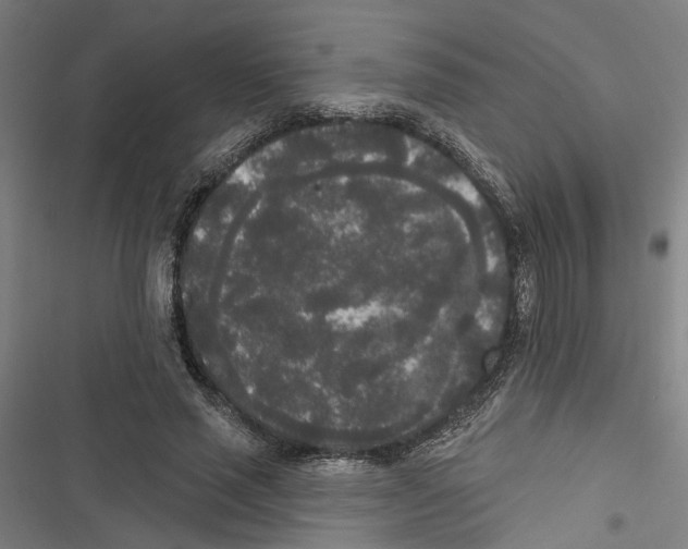 X0000116850637201001191641