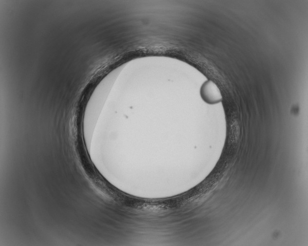 X0000116850638201001191641