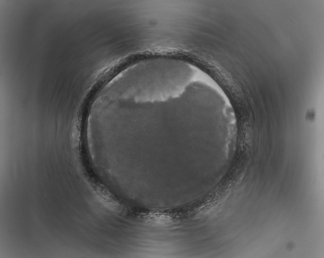 X0000116850640201001191641