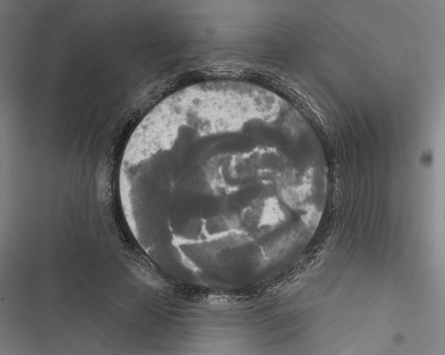 X0000116850641201001191641