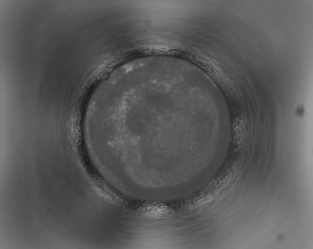 X0000116850642201001191641
