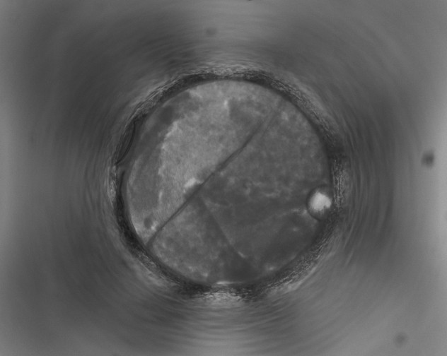 X0000116850644201001191641