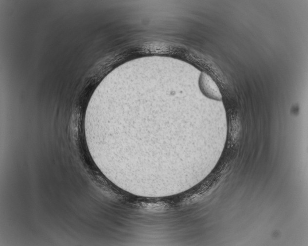 X0000116850645201001191641
