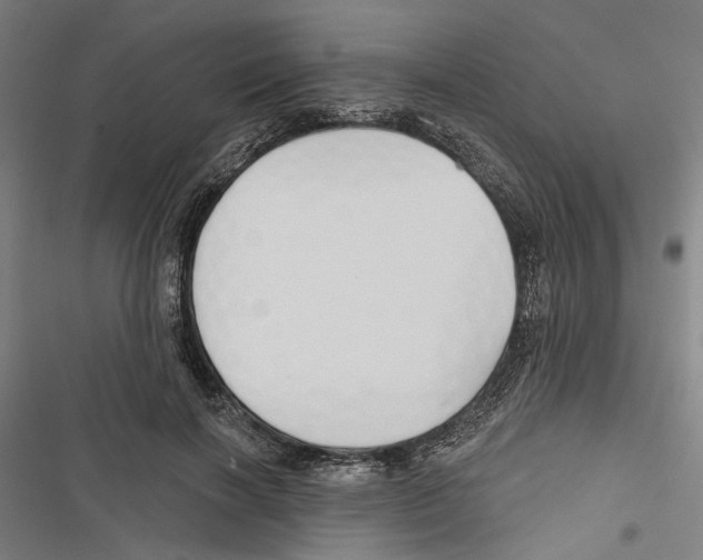 X0000116850646201001191641