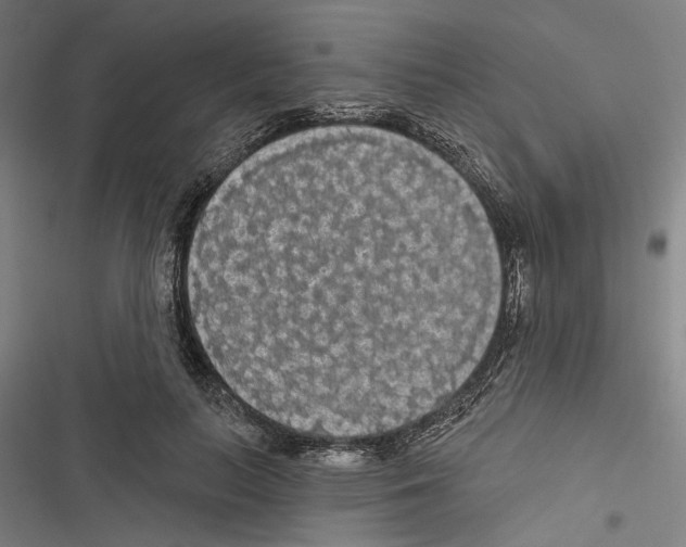 X0000116850647201001191641
