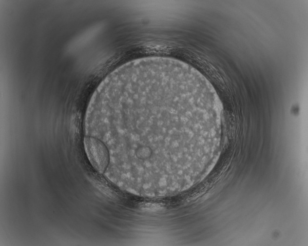 X0000116850649201001191641