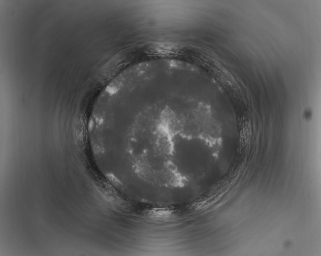 X0000116850651201001191641