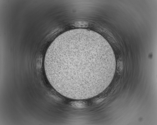 X0000116850652201001191641